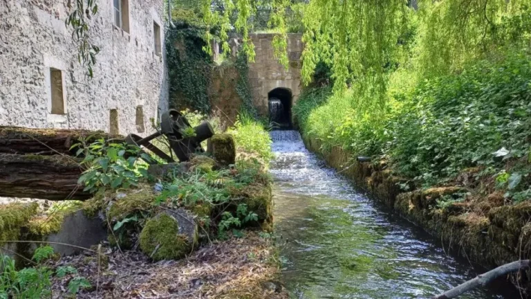 Alte Mühle Detmold Mühlrad 2